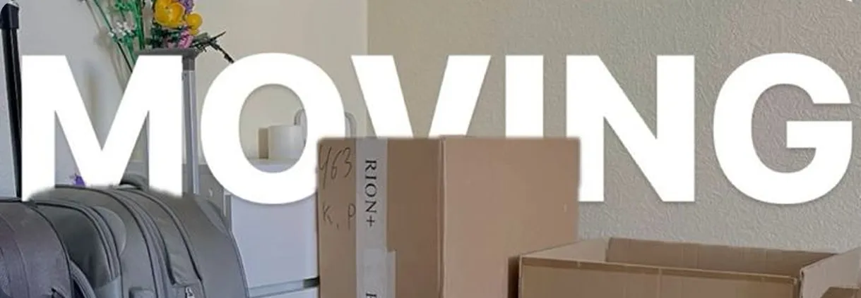 Gibt es eine Plattform für geteilte Möbeltransporte? 🛋️🚀